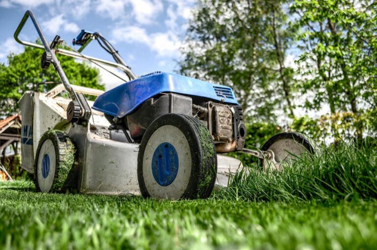 Tips om je tuin goed voor te bereiden
