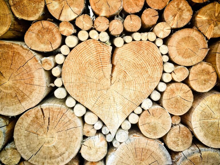 Kies hout dat perfect bij de klussen aansluit
