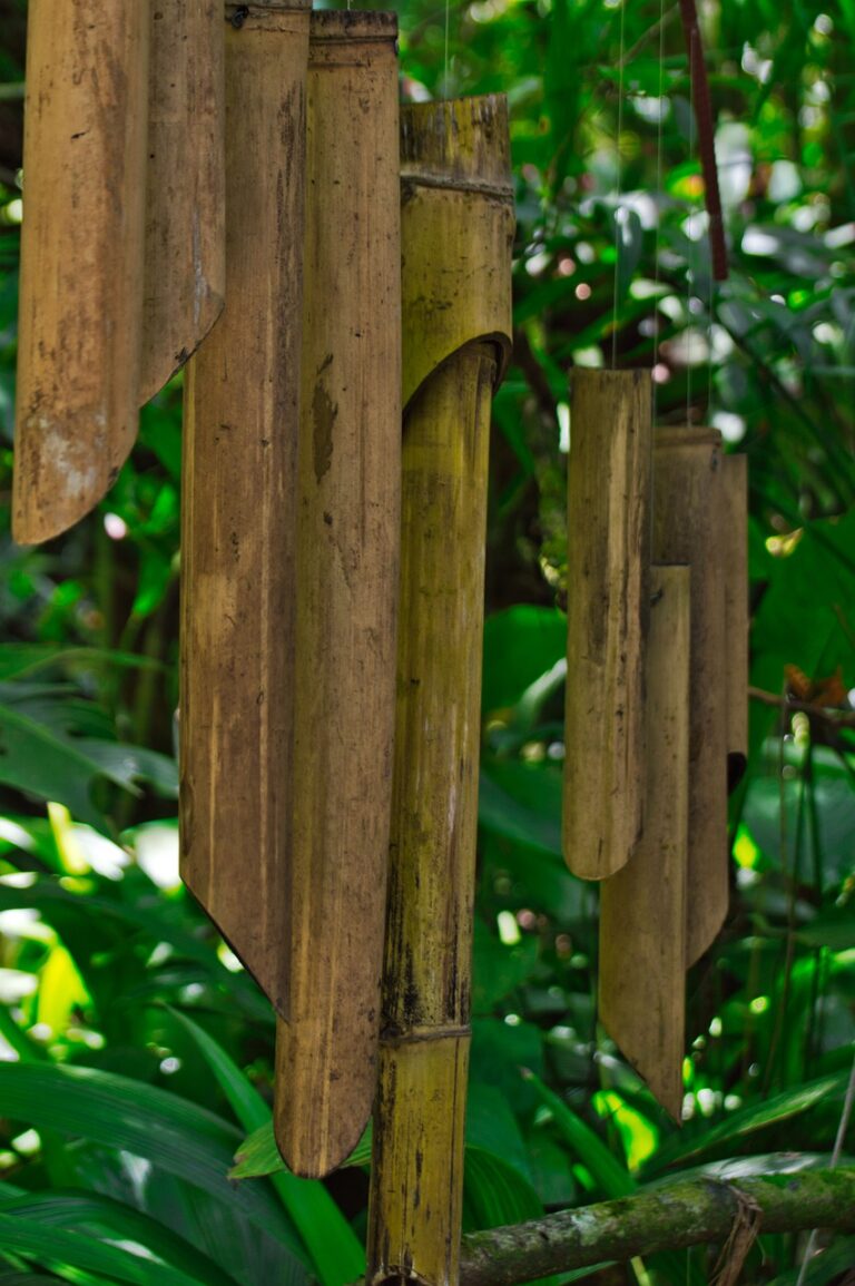 Leuke planten voor in de tuin