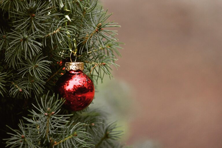 Hoge en smalle kerstbomen zijn het mooist!